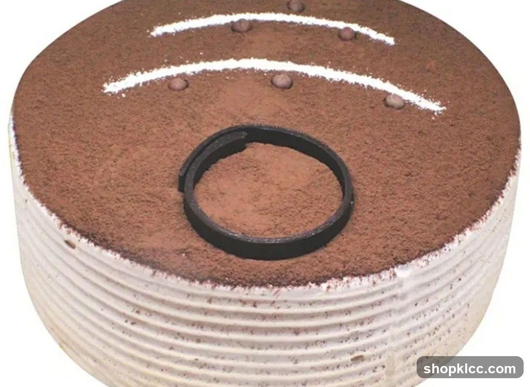 Tiramisu Cake