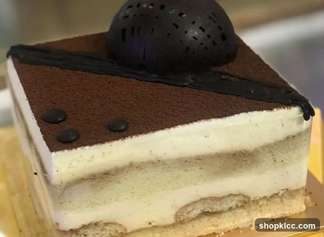 Tiramisu Slice
