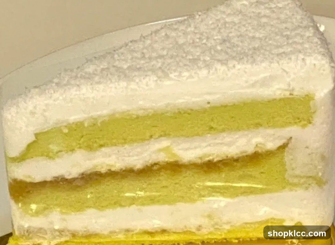 Slice of Cake