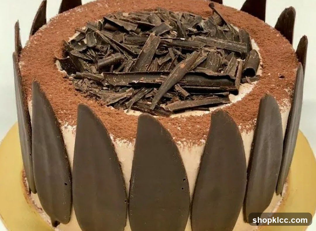 Chocolate Cake