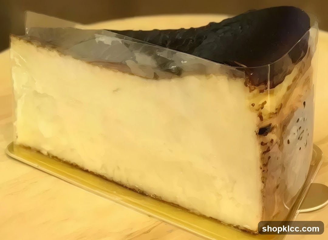 Burnt Basque Cheesecake Slice