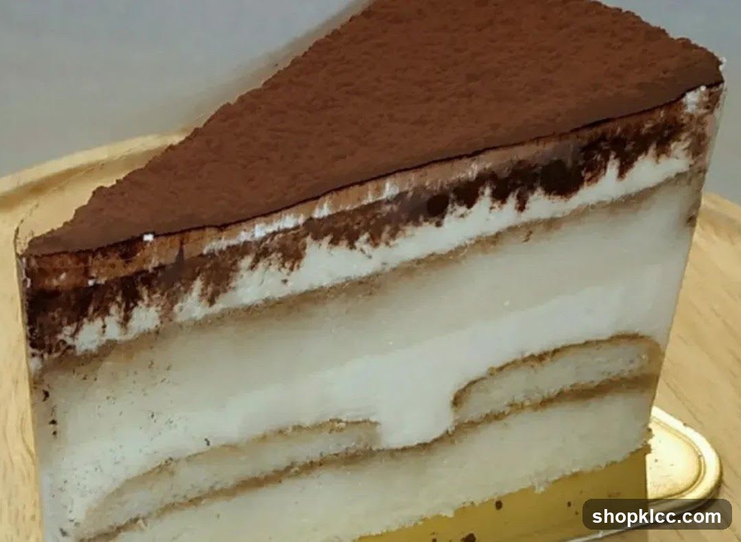 Tiramisu Slice