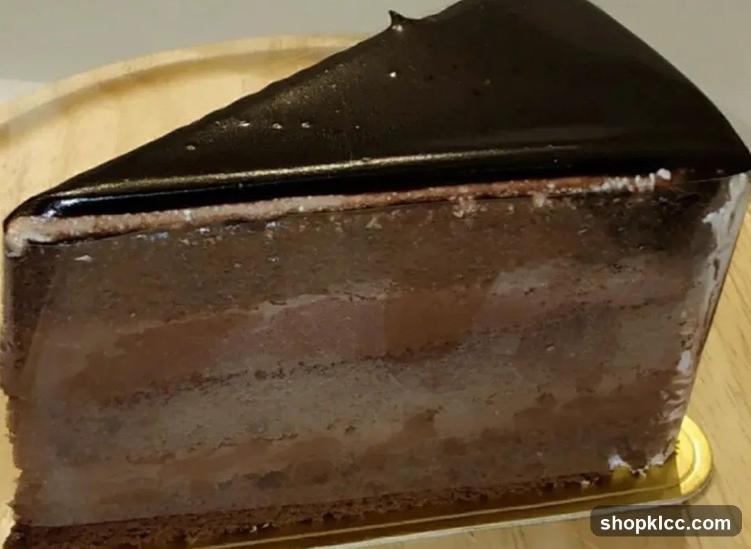 Chocolate Cake Slice