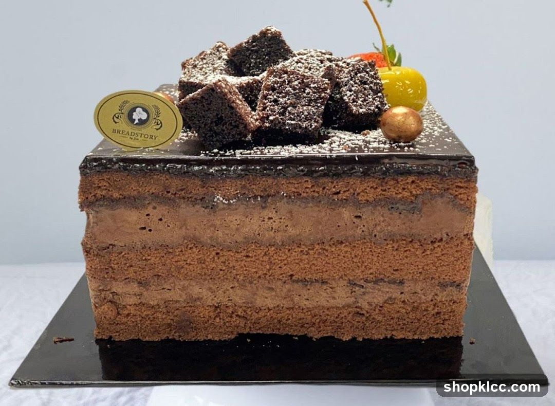 Chocolate Layer Cake with Brownie Topping