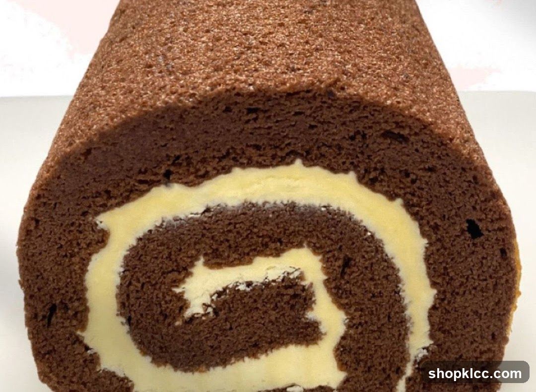 Chocolate Swirl Roll Cake