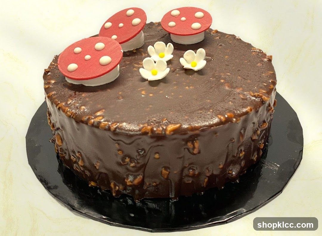 Chocolate Cake with Mushroom Toppers