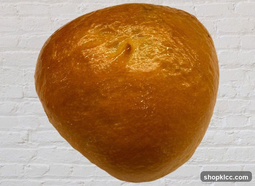 Baked Bread Loaf