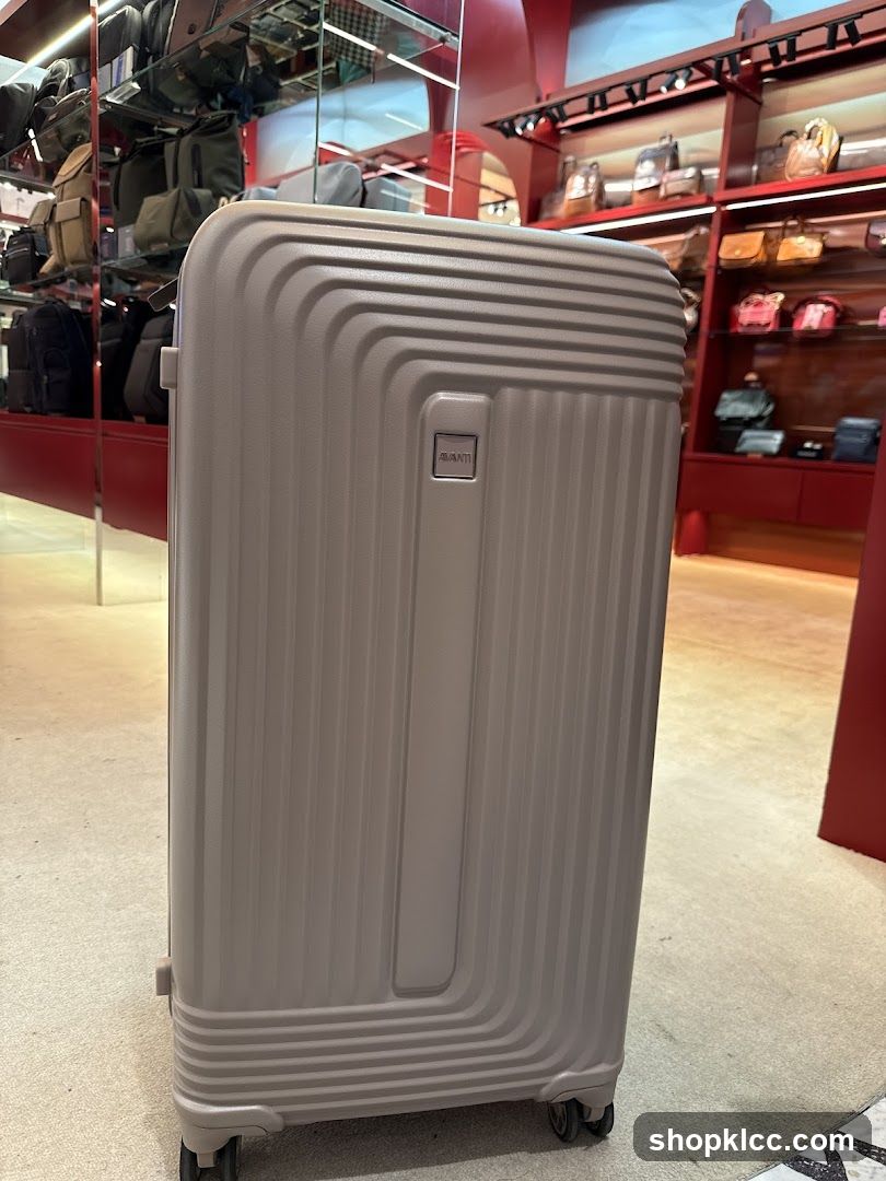 Suitcase in a store