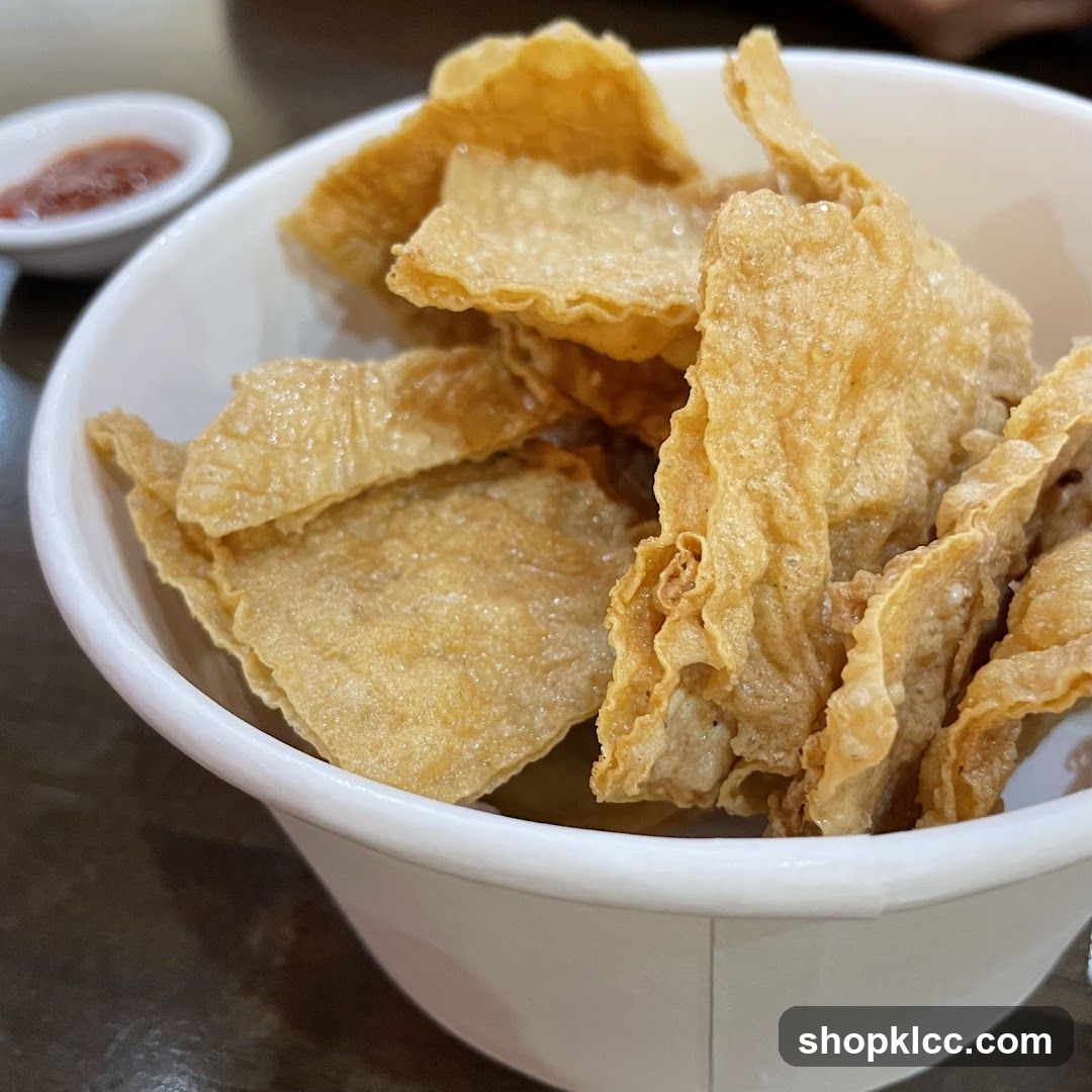 Fried Tofu Skin