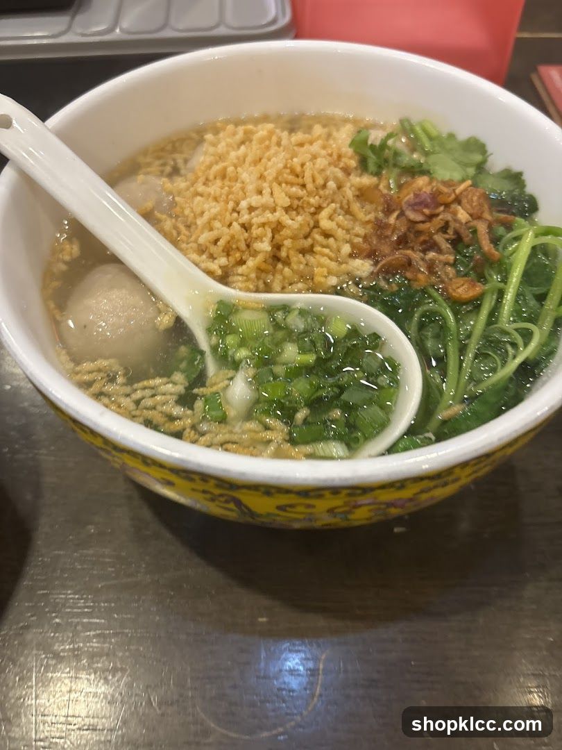 Noodle Soup with Meatballs