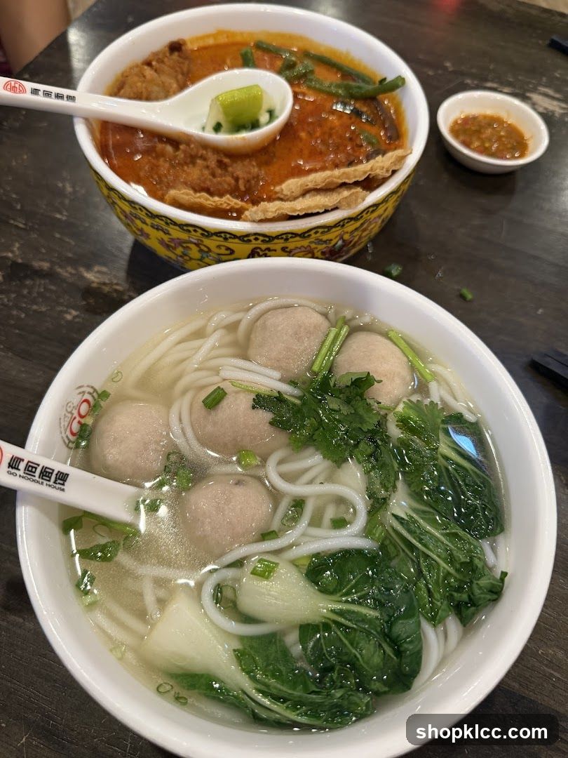 Noodle Soup and Curry Laksa