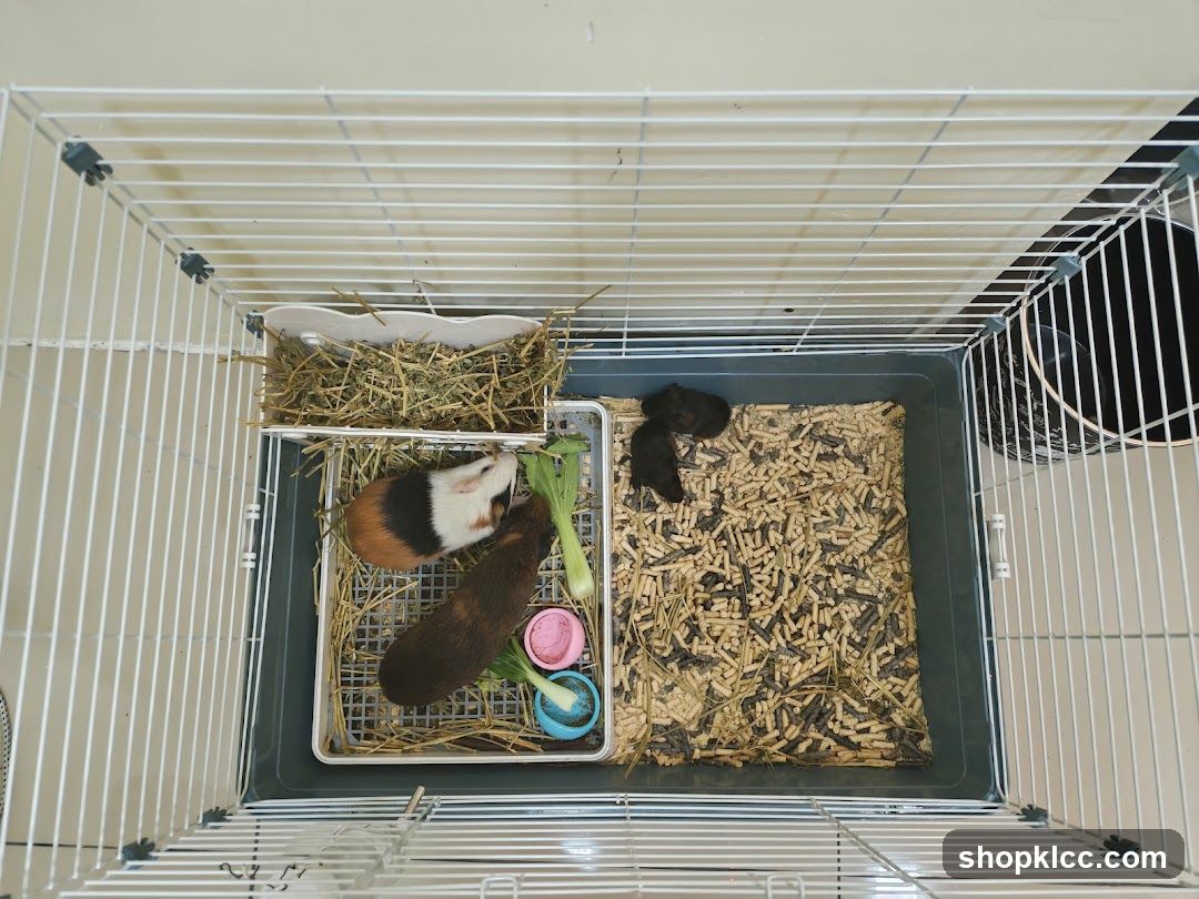 Pets Naturale