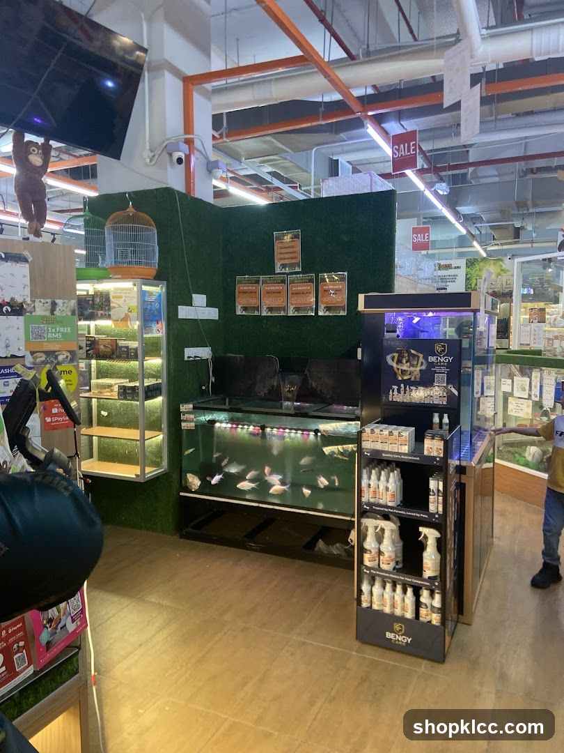 Pet Store Display