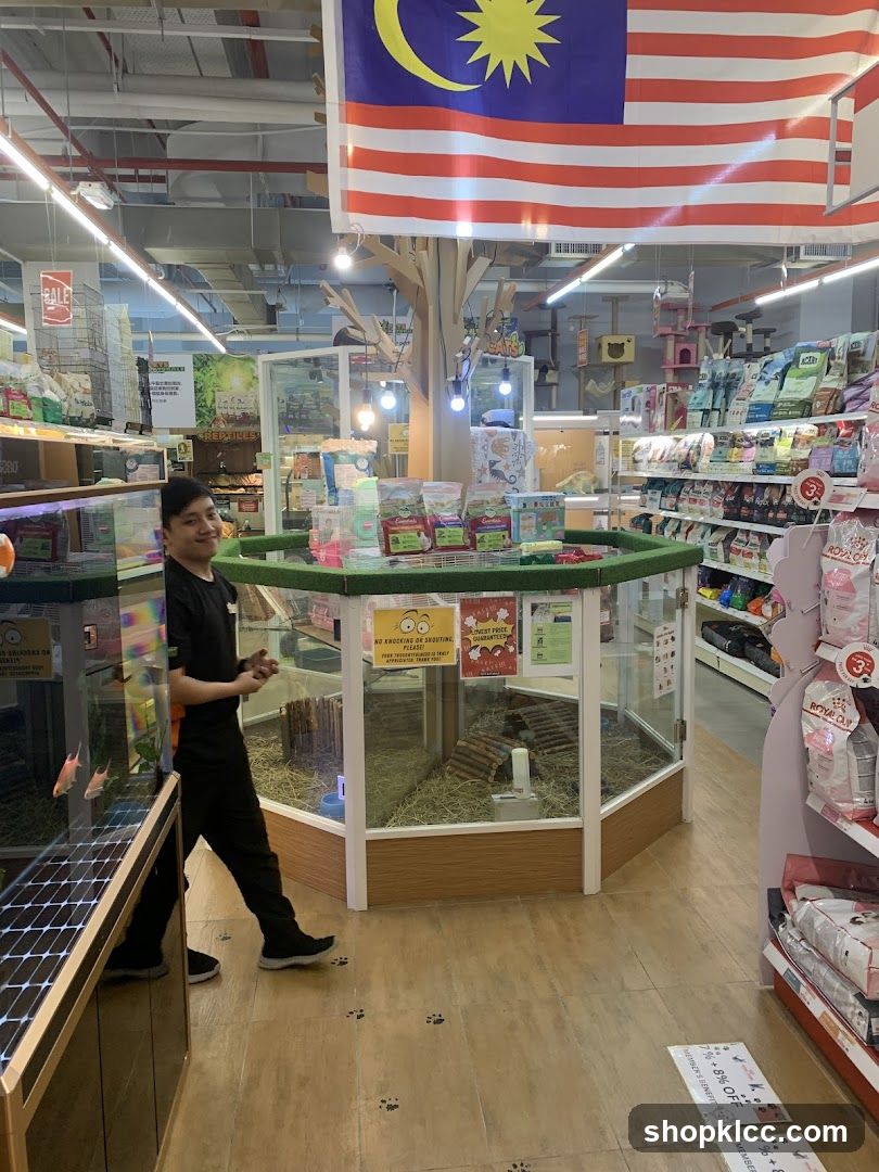Pet Store Interior