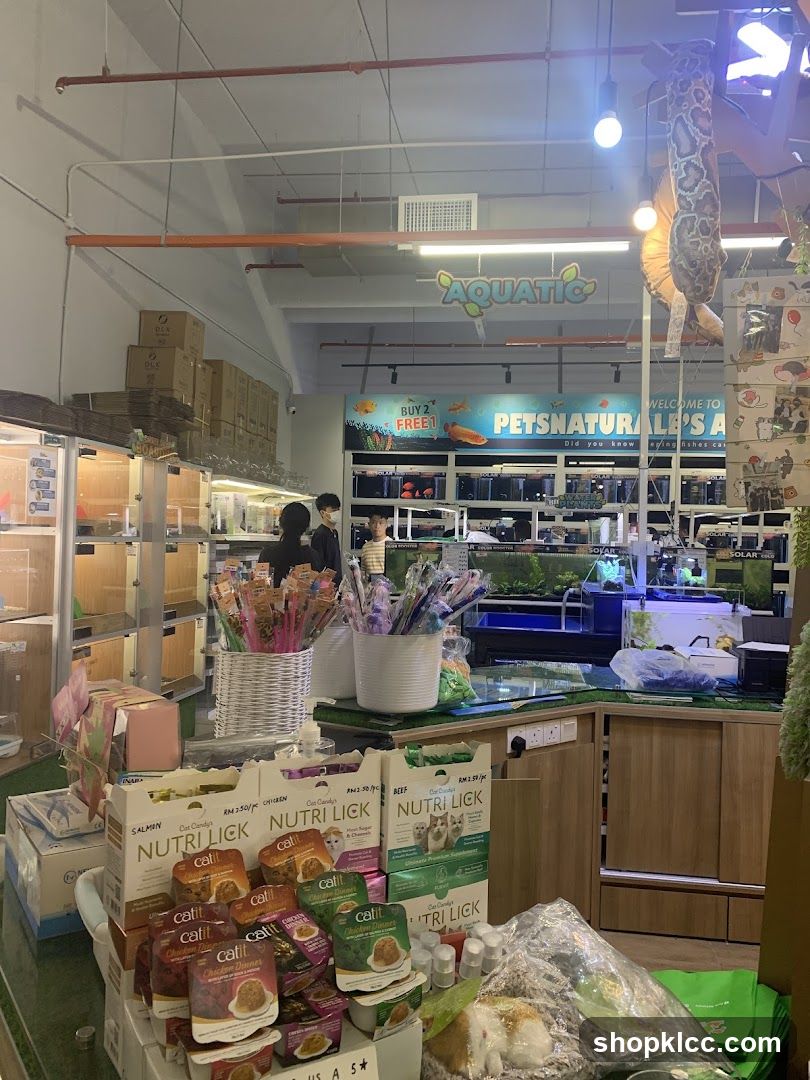 Pet Store Interior