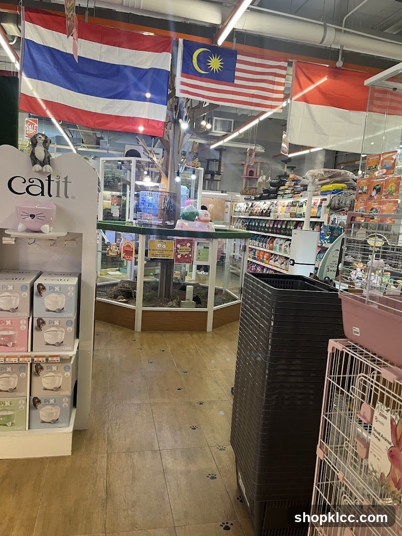 Pet Store Interior