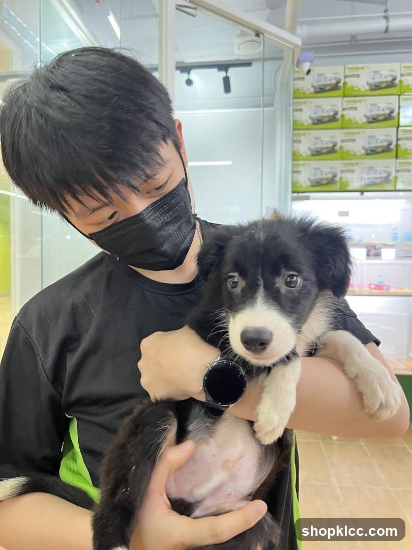 Man holding a puppy