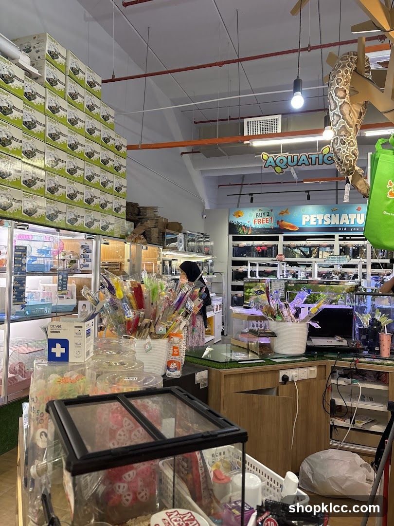 Pet Store Interior
