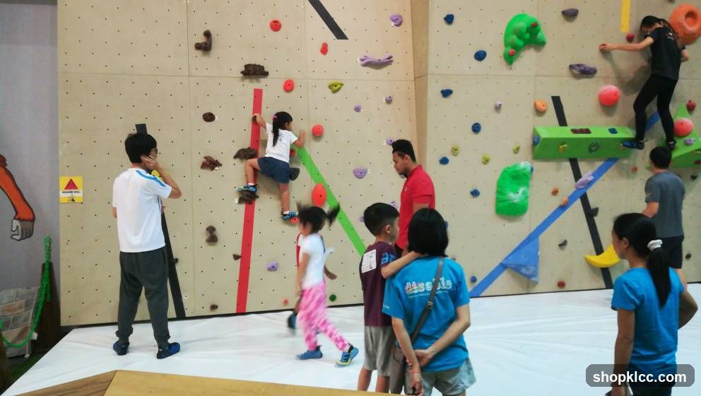 Rocky BaseCamp Rock Climbing