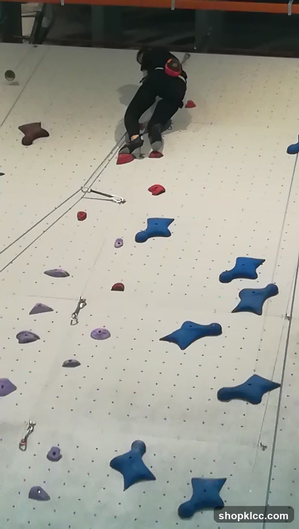 Climbing Wall Activity