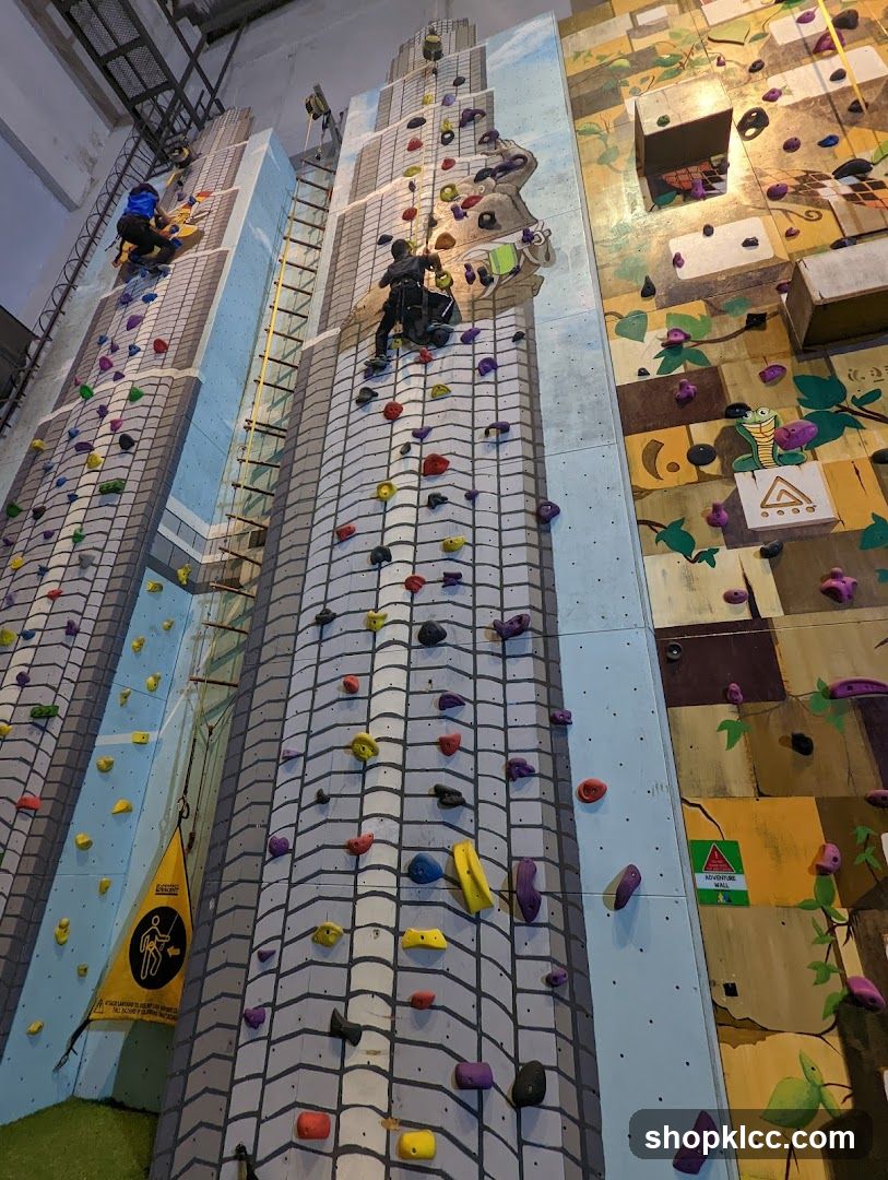 Indoor Climbing Walls