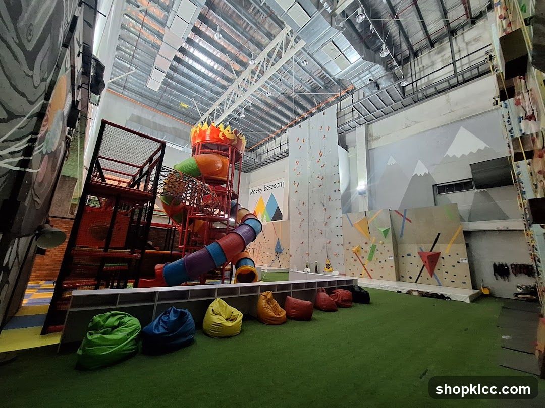 Indoor Climbing and Play Area