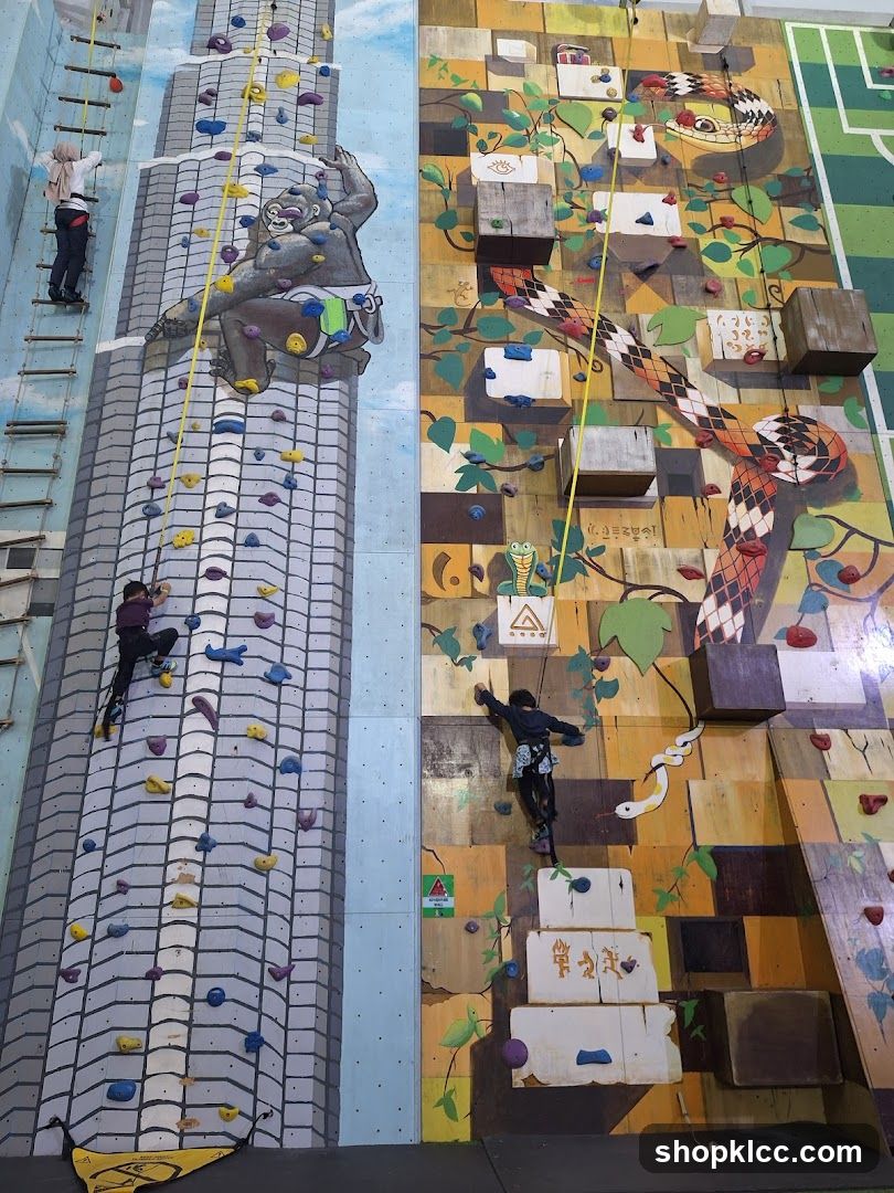 Indoor Climbing Walls