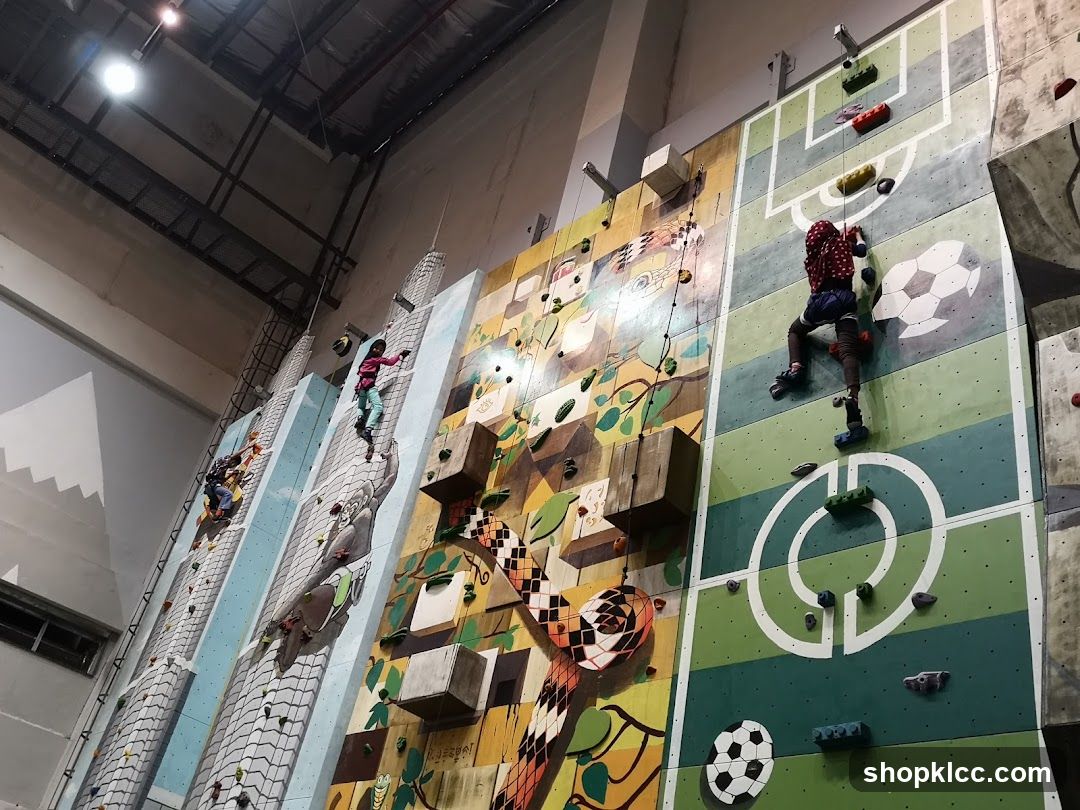 Indoor Climbing Walls