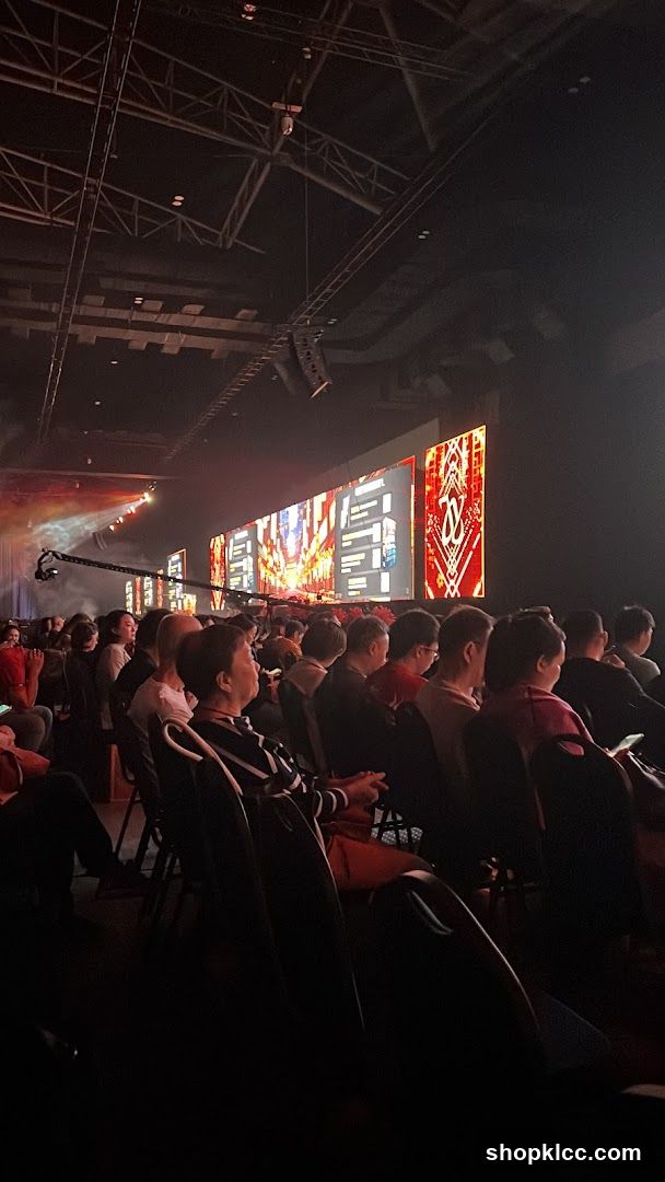 Audience watching a screen