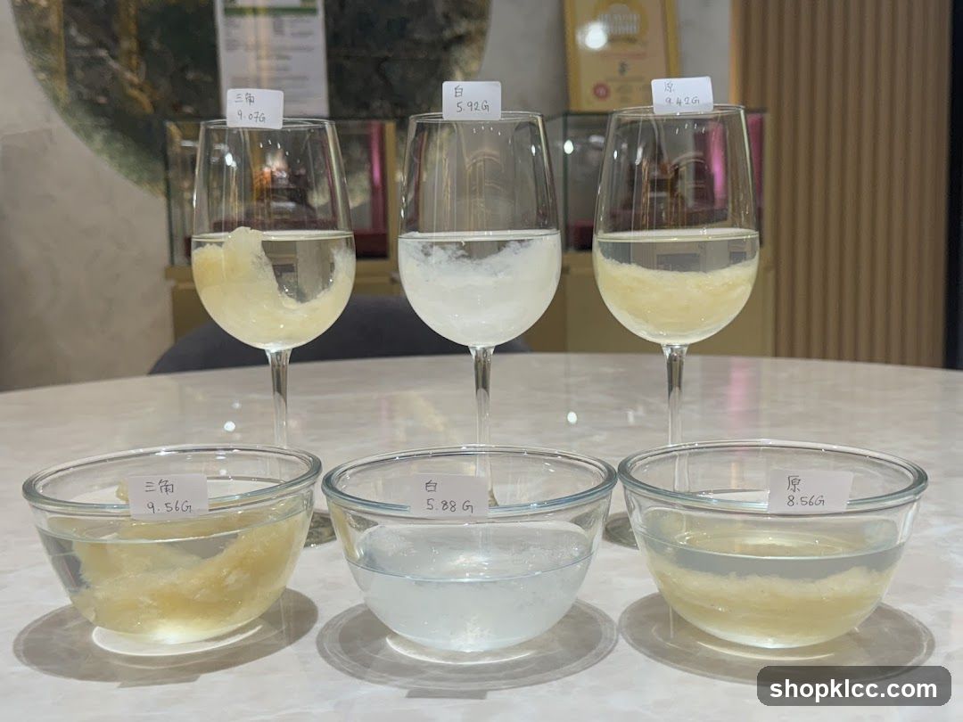 同心圆 - 箭猪枣,豪猪枣,箭猪枣批发,Tong Xin Yuan