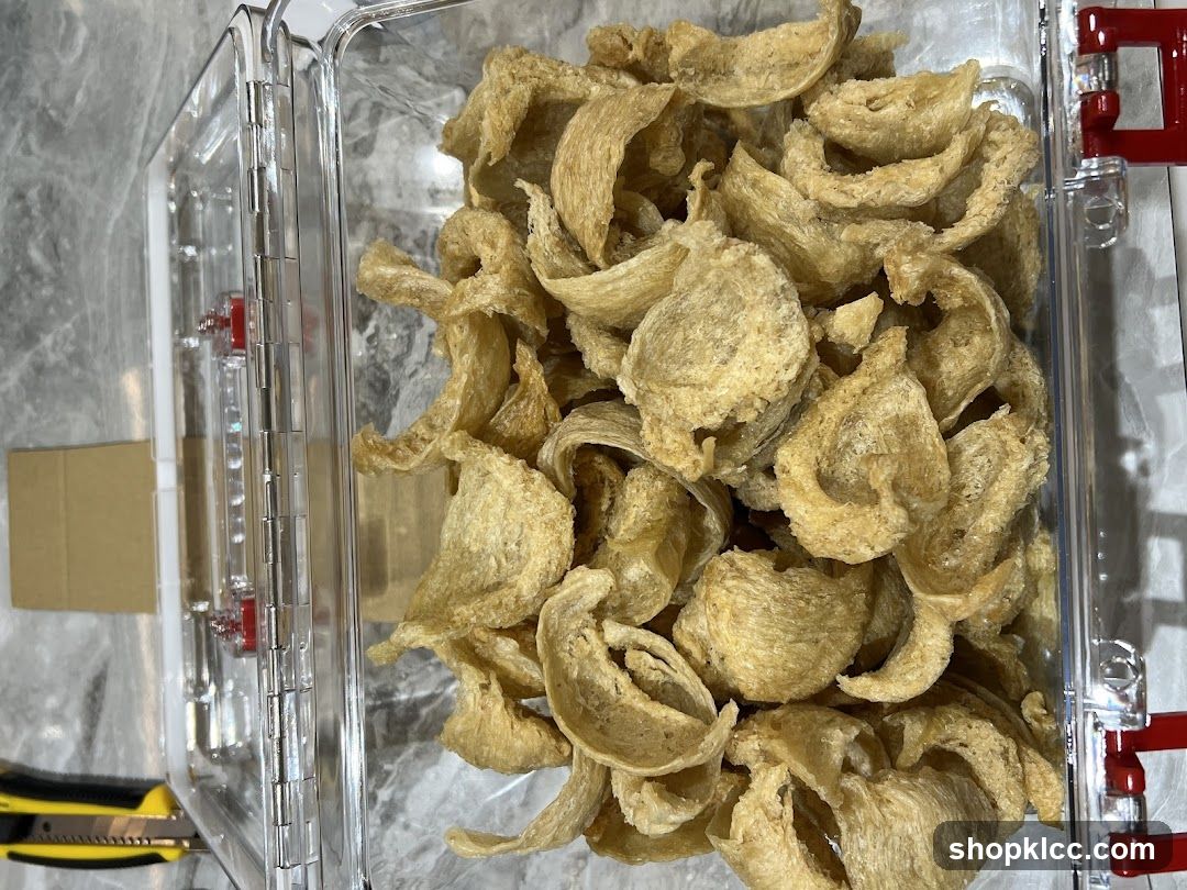 Bird's Nests in Container