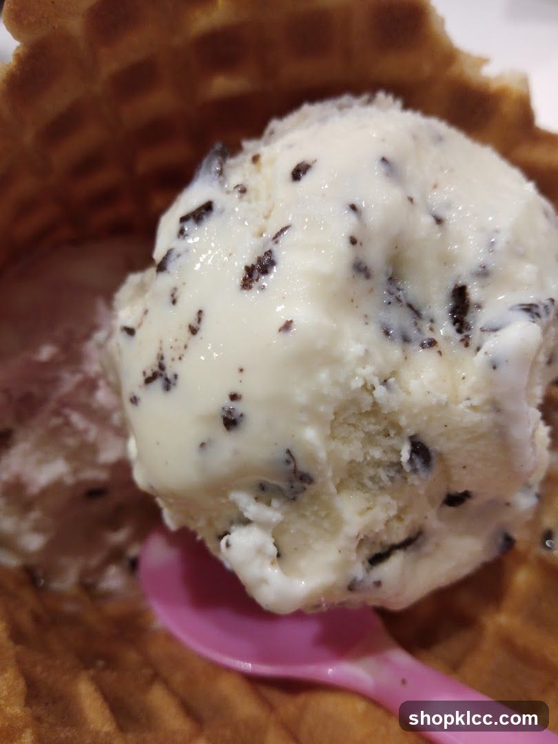 Chocolate Chip Ice Cream in a Waffle Cone