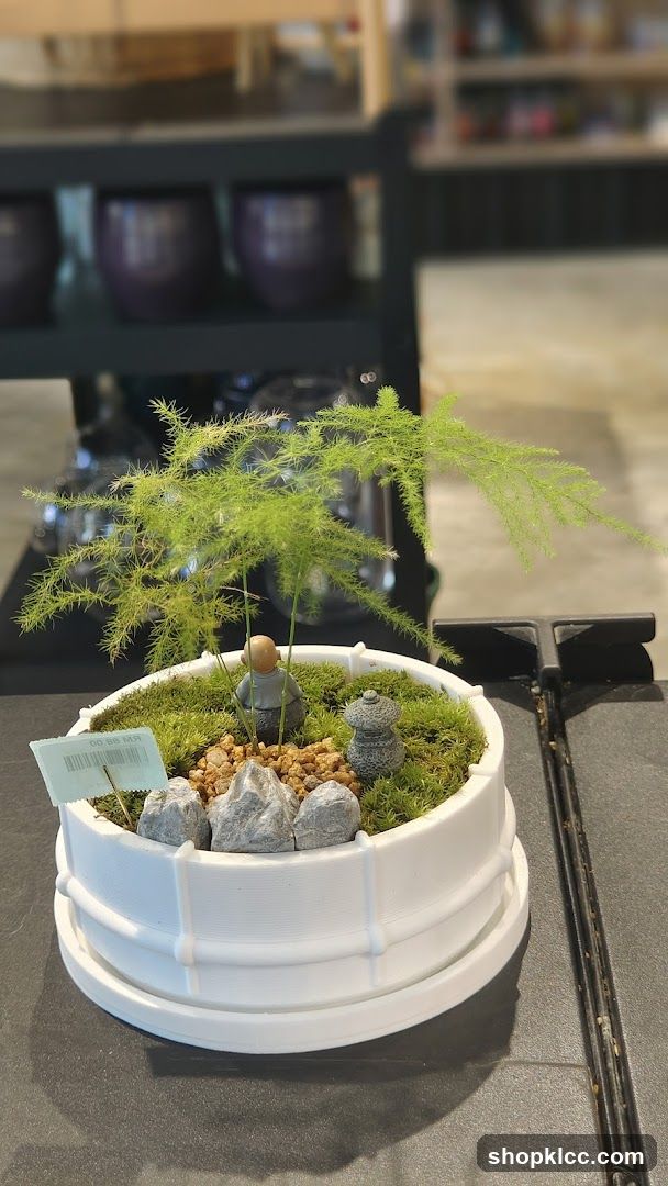 Succulent Shop