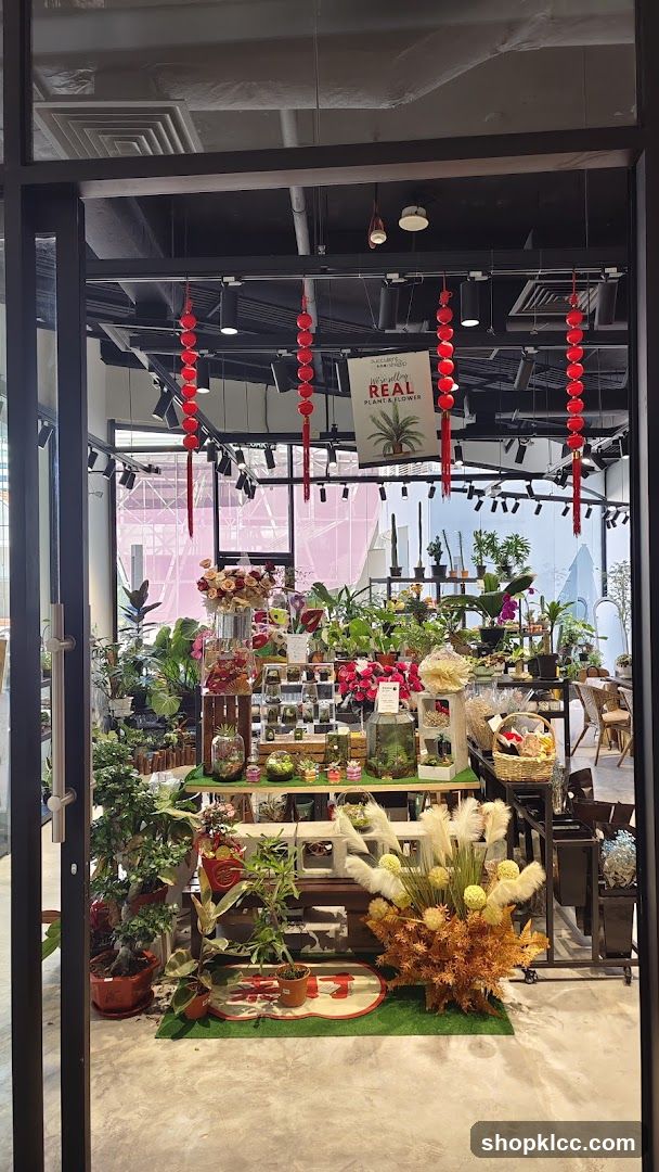 Plant and Flower Shop Display