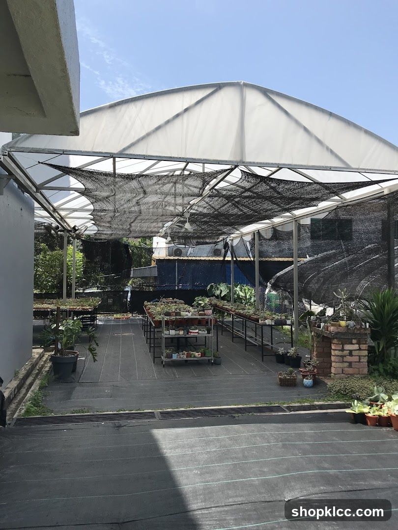 Greenhouse with Plants