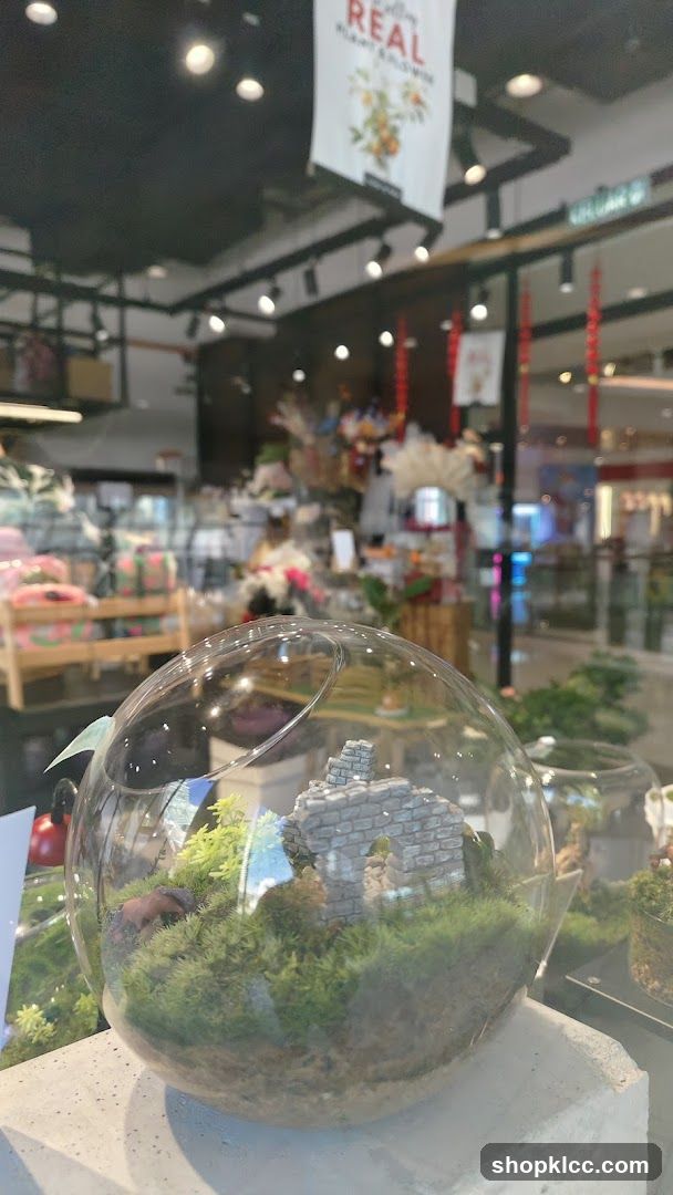 Terrarium Display