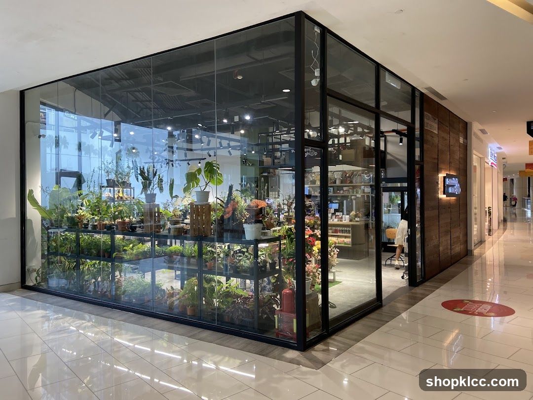 Succulent Shop