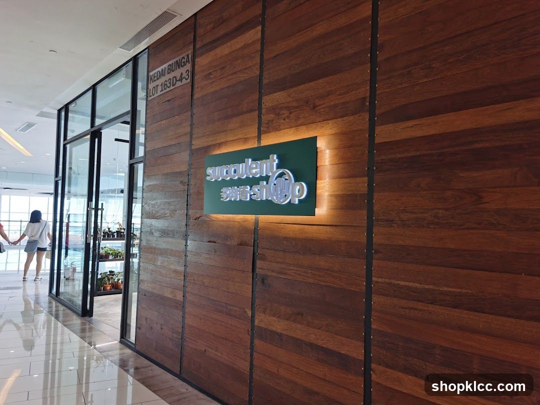 Succulent Shop