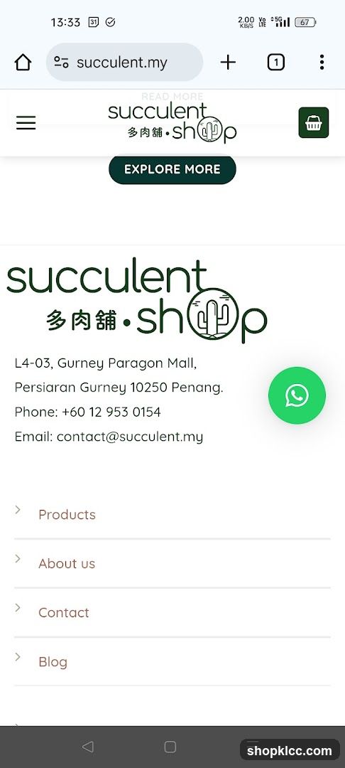 Succulent Shop Website