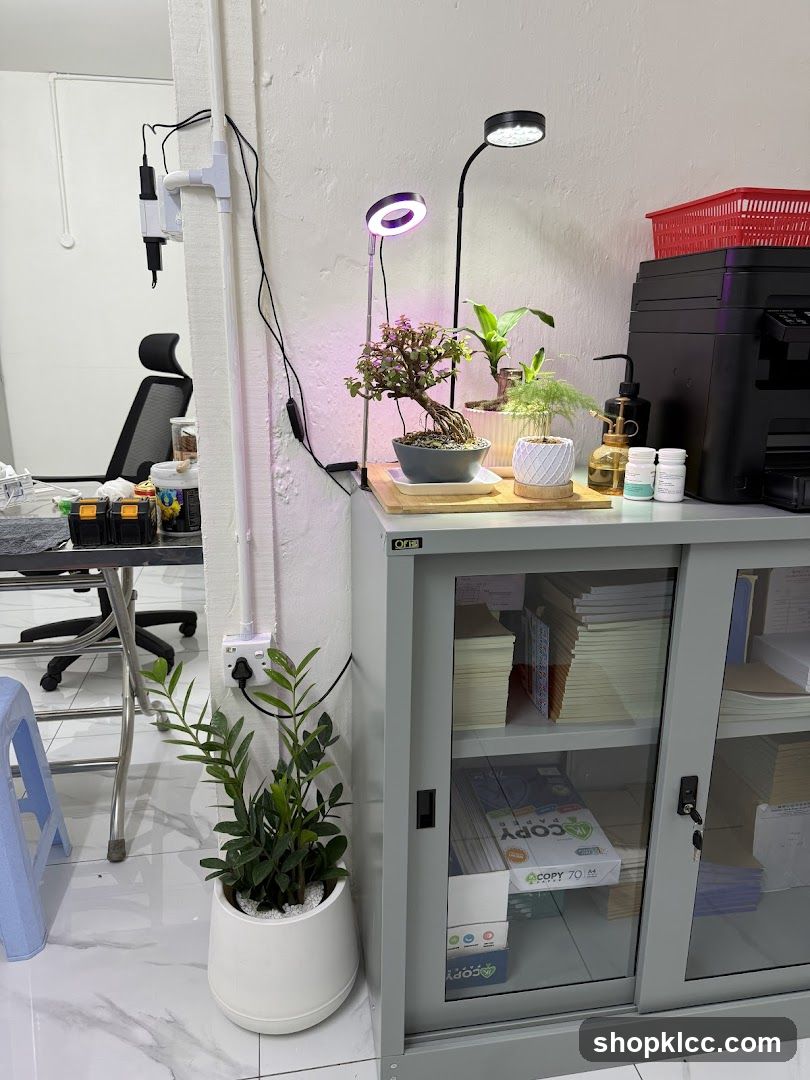 Office Plants and Storage