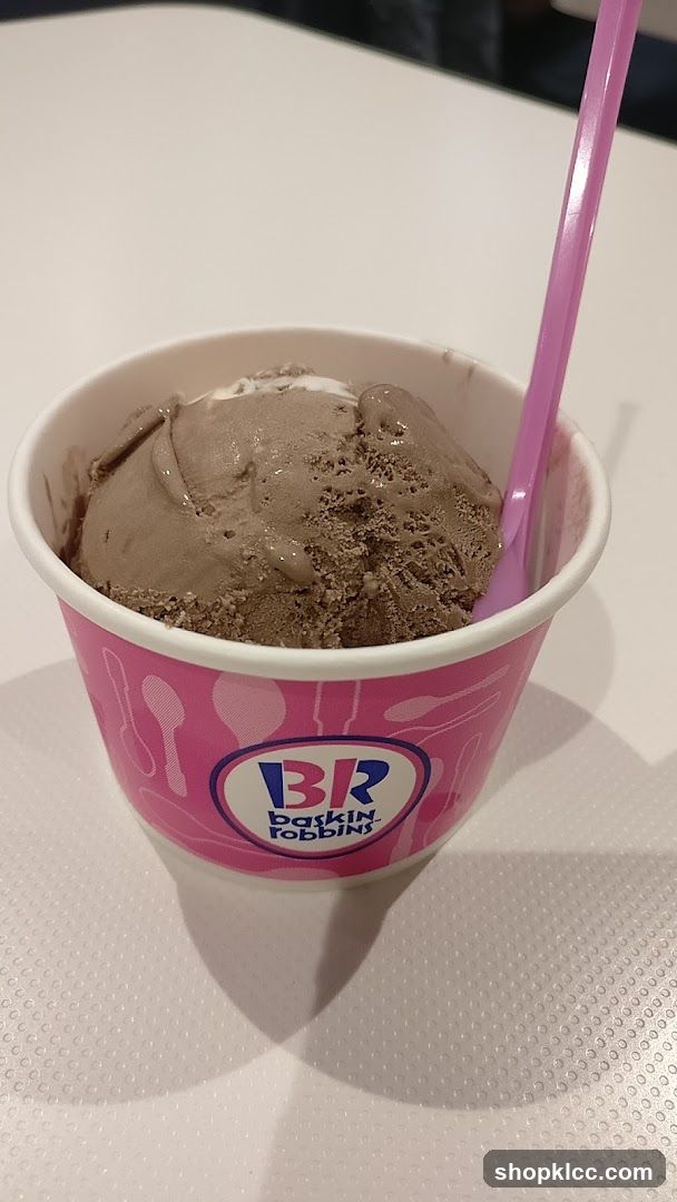 Baskin Robbins Ice Cream Cup