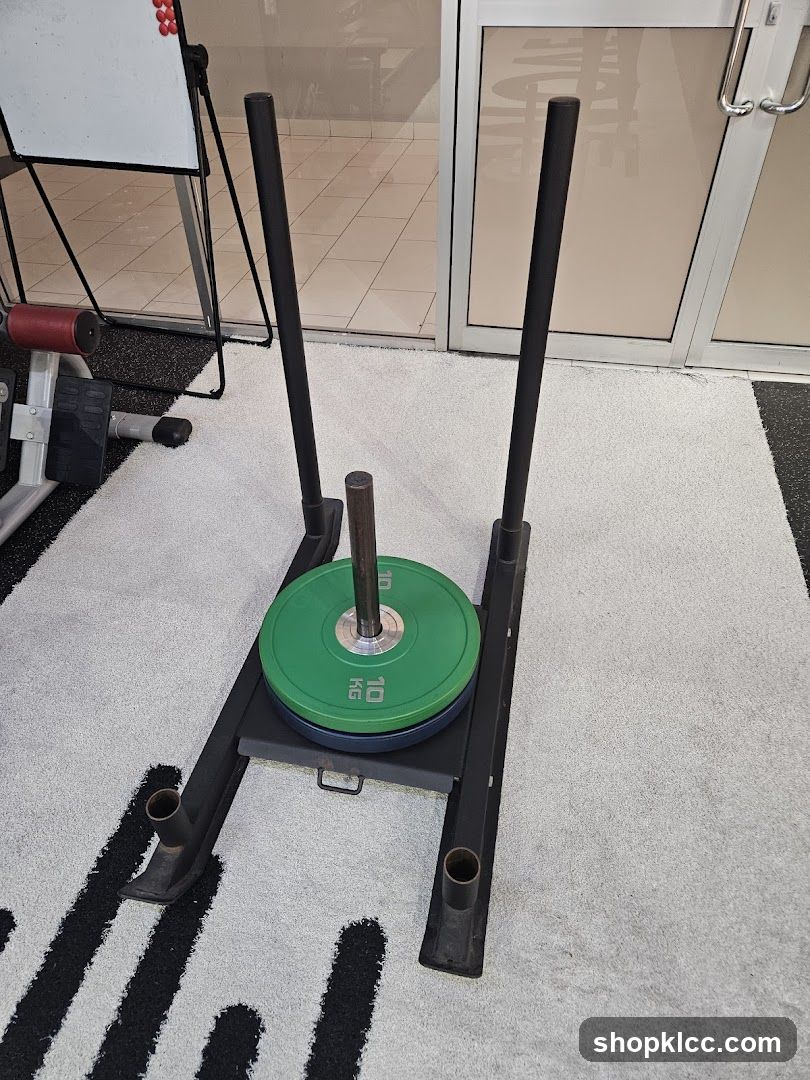 Weight sled with plates