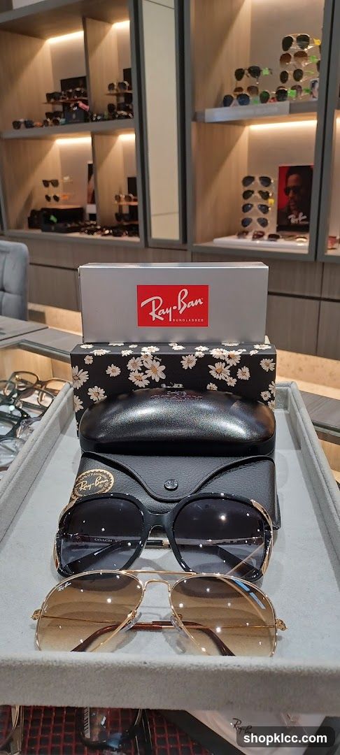 Ray-Ban Sunglasses Display