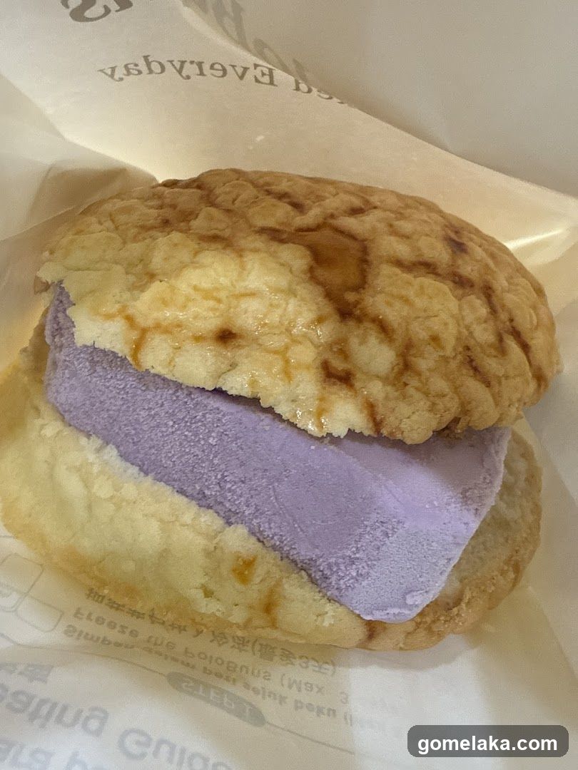Ice cream sandwich