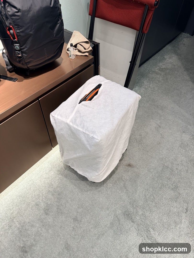 Backpack and covered object