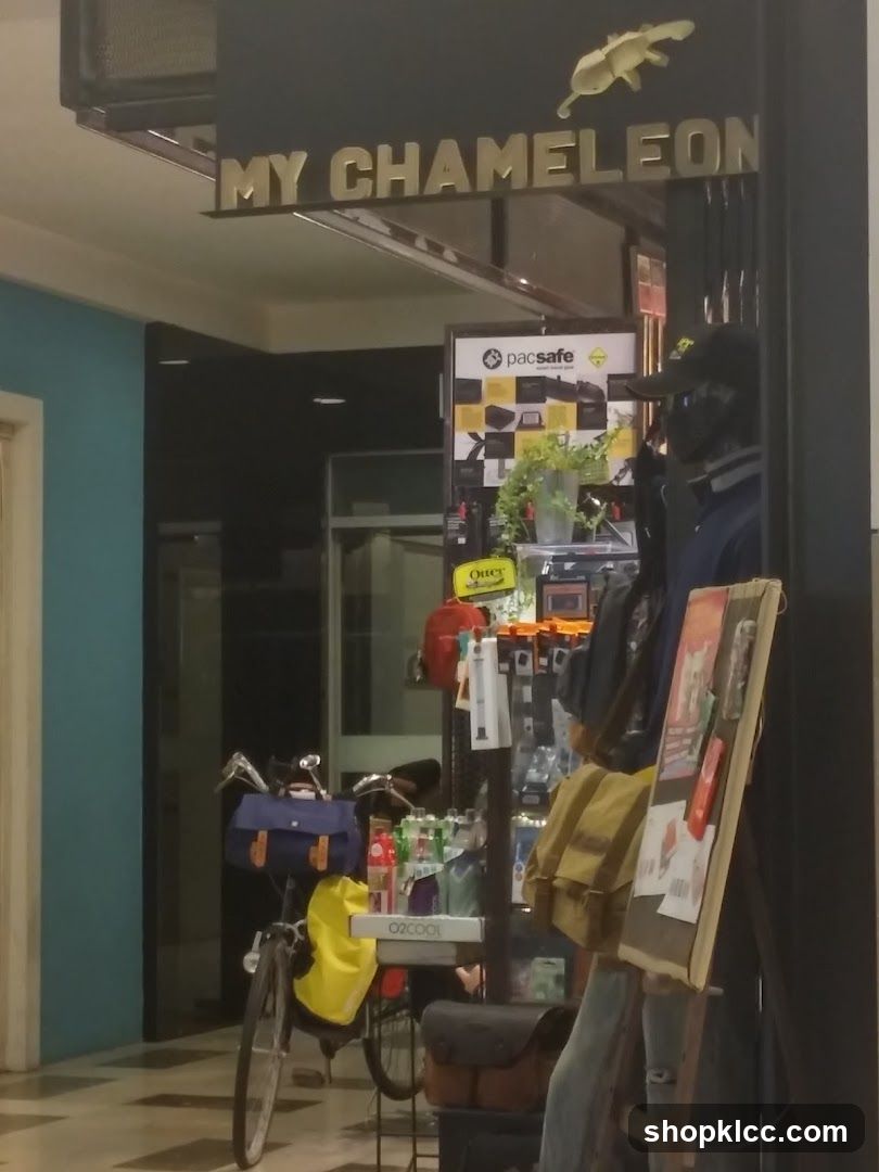 MyChameleon