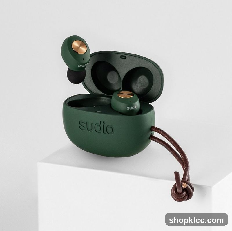 Sudio Wireless Earbuds