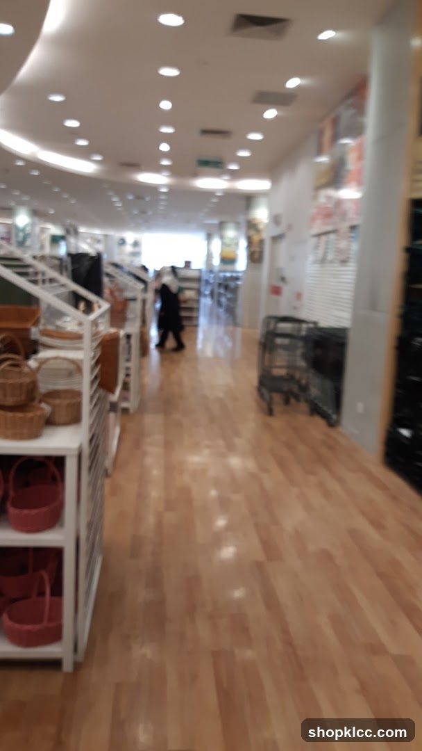 Store Interior with Baskets and Carts