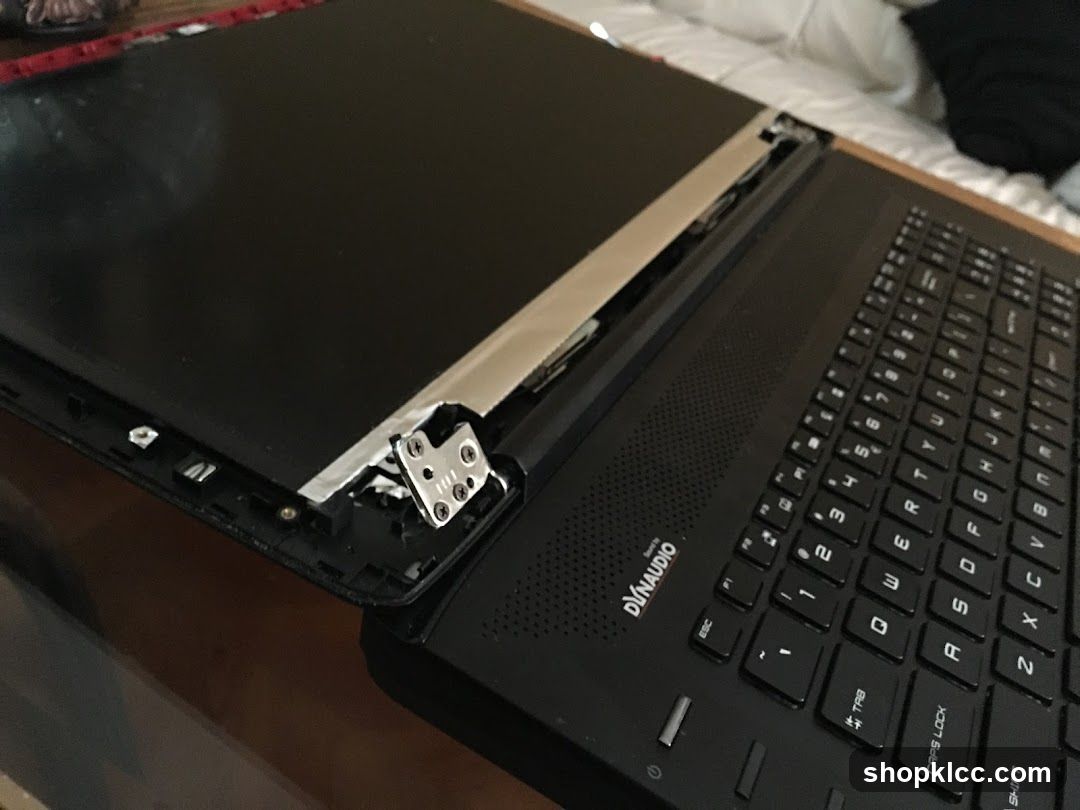 Disassembled Laptop Screen and Keyboard
