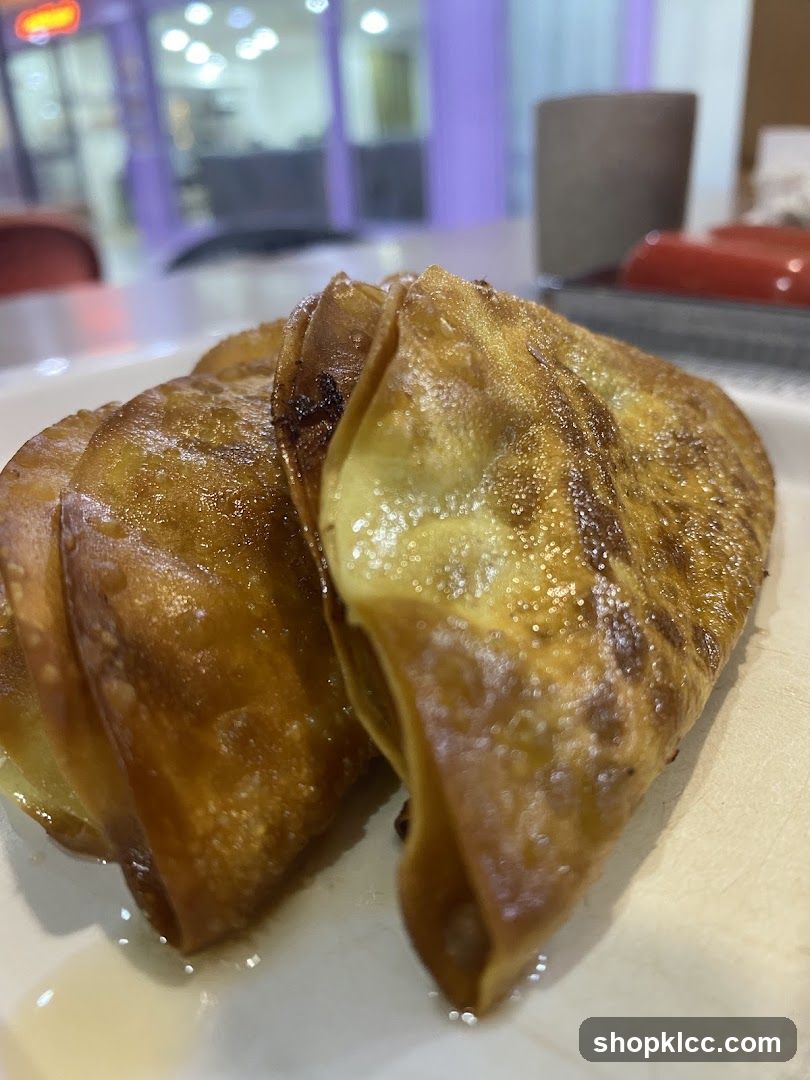Fried Dumplings